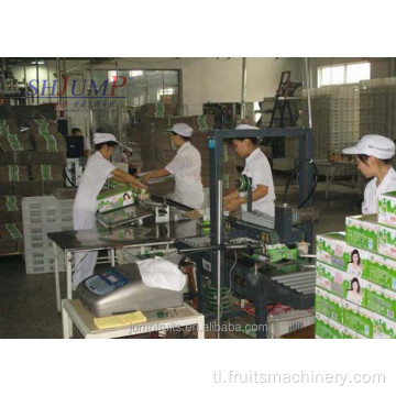 I -pasteurize ang Mini Dairy UHT Milk Processing Line